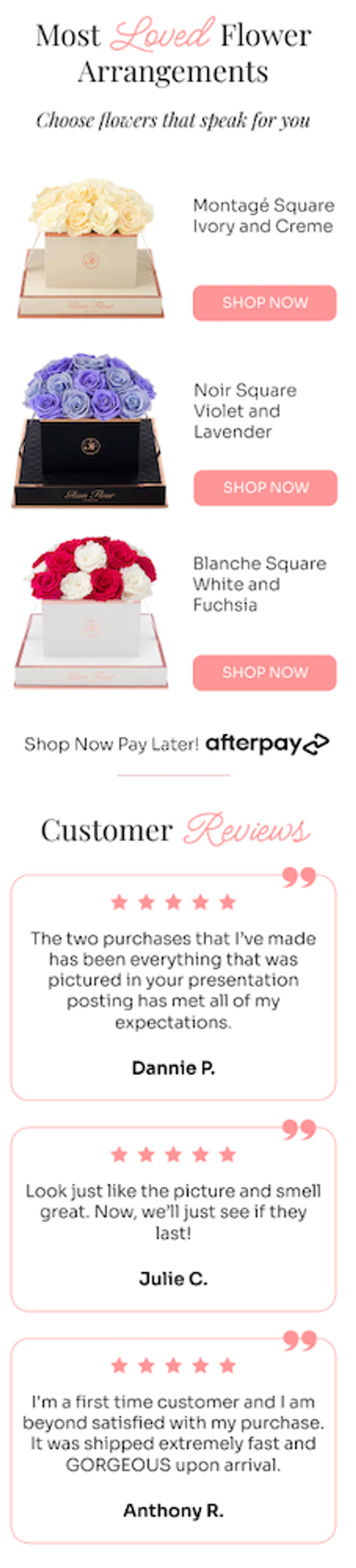 A promotional email screenshot with the headline "Most Loved Flower Arrangements" in a mix of serif and pink script type, with the subheading, "Choose flowers that speak for you." Below that, there are 3 product listings, each pairing a photo of a boxed rose arrangement with a pink "Shop Now" button: a cream box holding ivory and cream roses labeled "Montagé Square Ivory and Creme," a black box holding lavender and violet roses labeled "Noir Square Violet and Lavender," and a white box holding red and white roses labeled "Blanche Square White and Fuchsia." Underneath the product listings, a line reads "Shop Now Pay Later!" next to the Afterpay logo. The email continues with a "Customer Reviews" heading in the same serif-and-script style, followed by 3 review cards, each showing a row of 5 gold stars, a pink quotation mark icon, a customer quote, and the reviewer's name in bold: Dannie P., Julie C., and Anthony R.