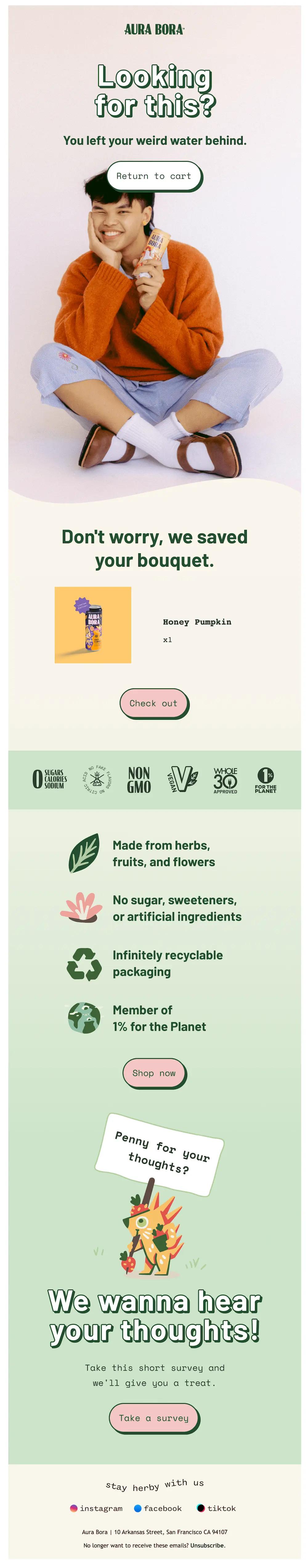 Aura Bora abandoned cart email which includes a call to action for a survey with the copy "We wanna hear your thoughts! Take this short survey and we'll give you a treat. Take a survey"