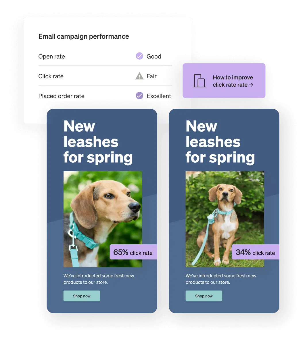 The Klaviyo dashboard displays email campaign performance data above two A/B tested email designs.
