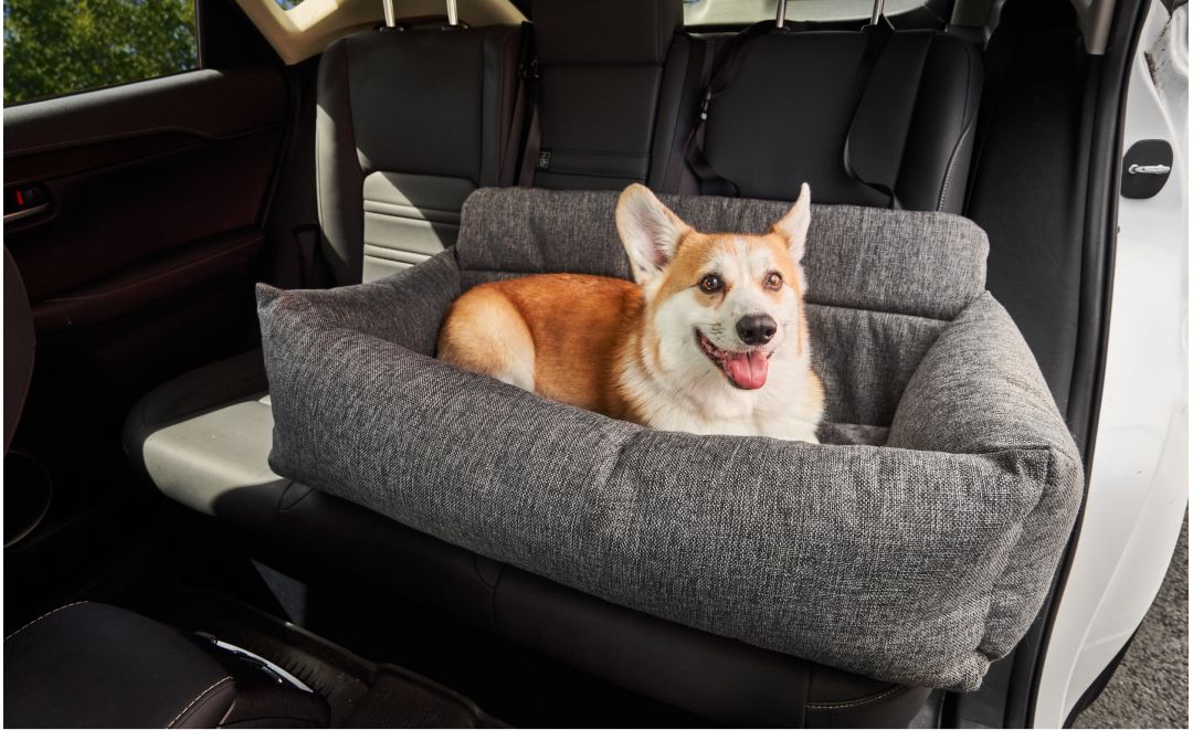 Paw.com closes in on 1 million subscribers using Klaviyo segmentation