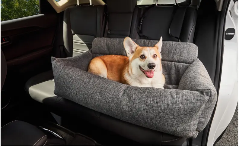 Paw.com closes in on 1 million subscribers using Klaviyo segmentation