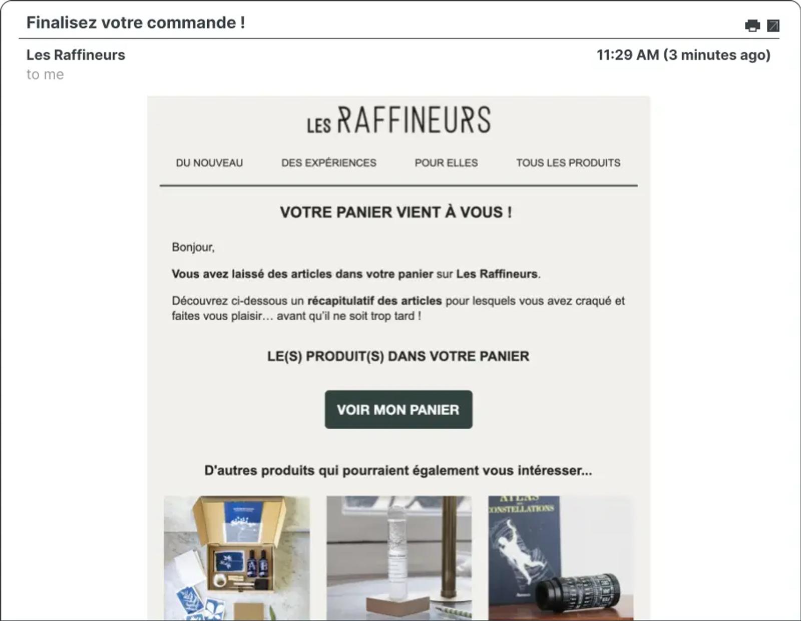 Captura de pantalla de una campaña de correo electrónico de Les Raffineurs.