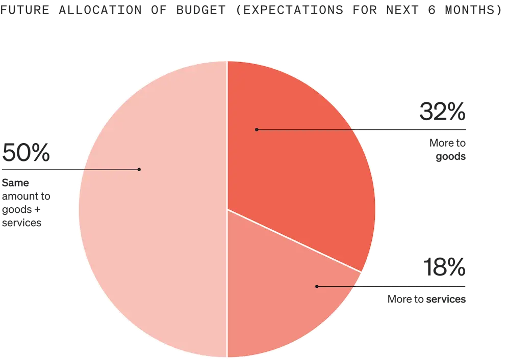 Image shows a pie graph called “Future allocation of budget (expectations for next 6 months)” that is divided into 3 sections, each a different shade of salmon. 18% of consumers expect to allocate more to services, 32% expect to allocate more to goods, and 50% expect to allocate the same amount to each.