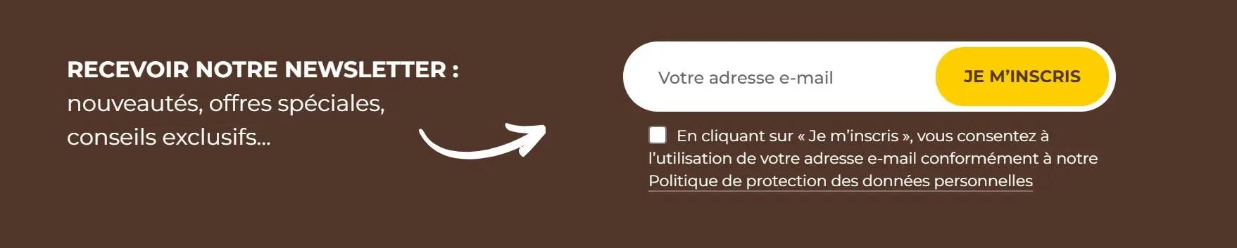 Formulaire d'inscription à la newsletter avec champ e-mail, bouton "Je m'inscris" et texte sur la protection des données.