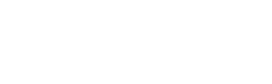 Quad Lock logo