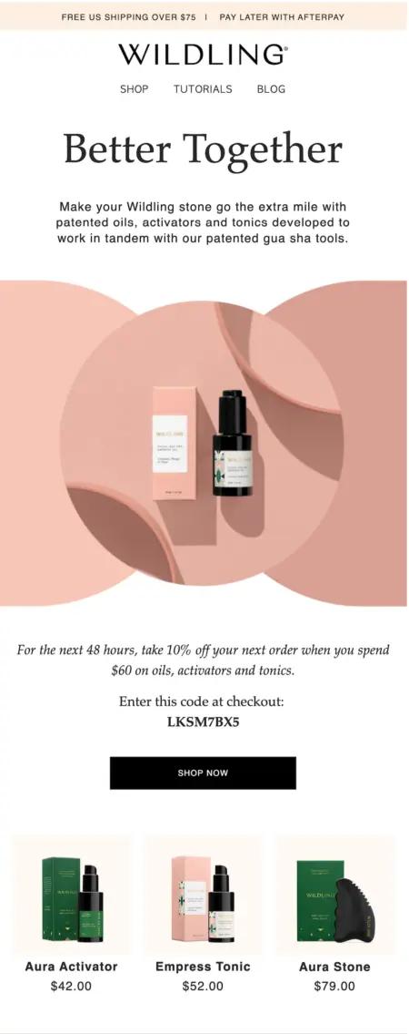 Image shows a post-purchase email from Wildling that offers a discount on complementary products.