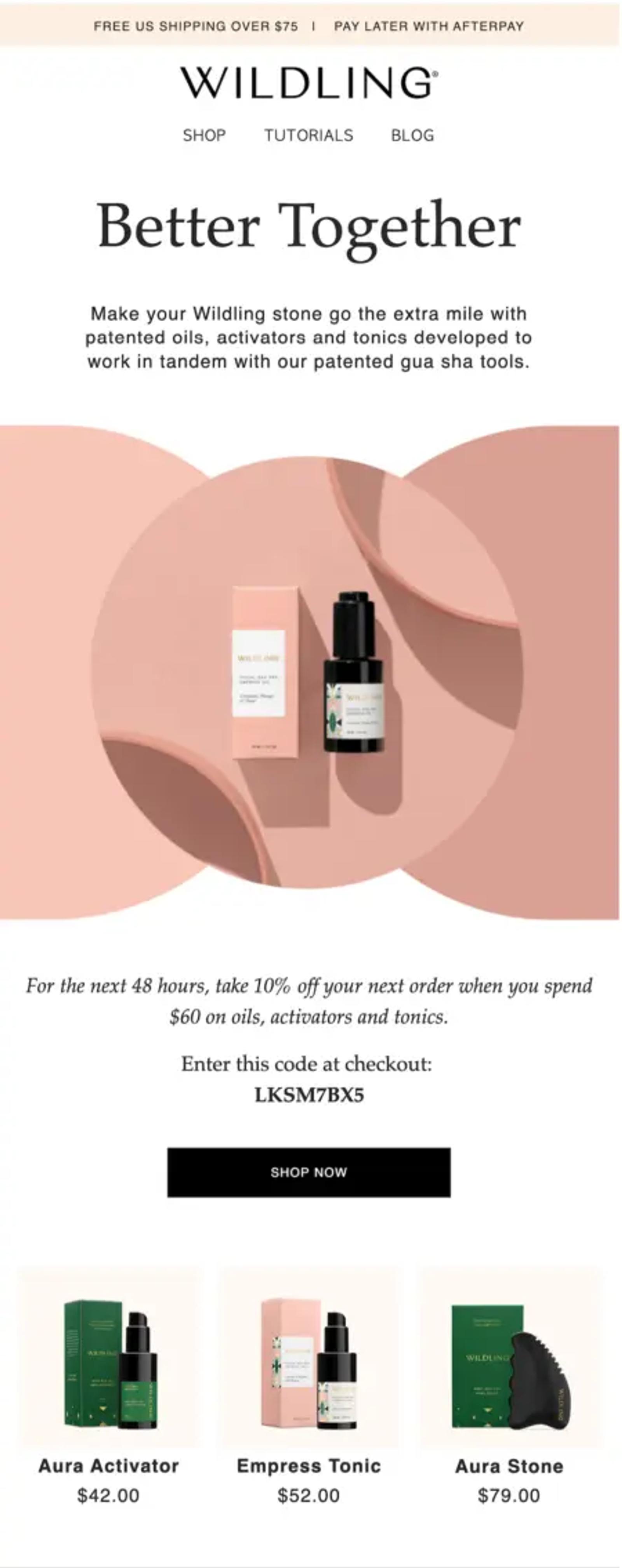 Image shows a post-purchase email from Wildling that offers a discount on complementary products.