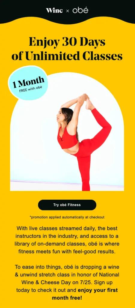 Image shows an email that demonstrates brand collaboration.