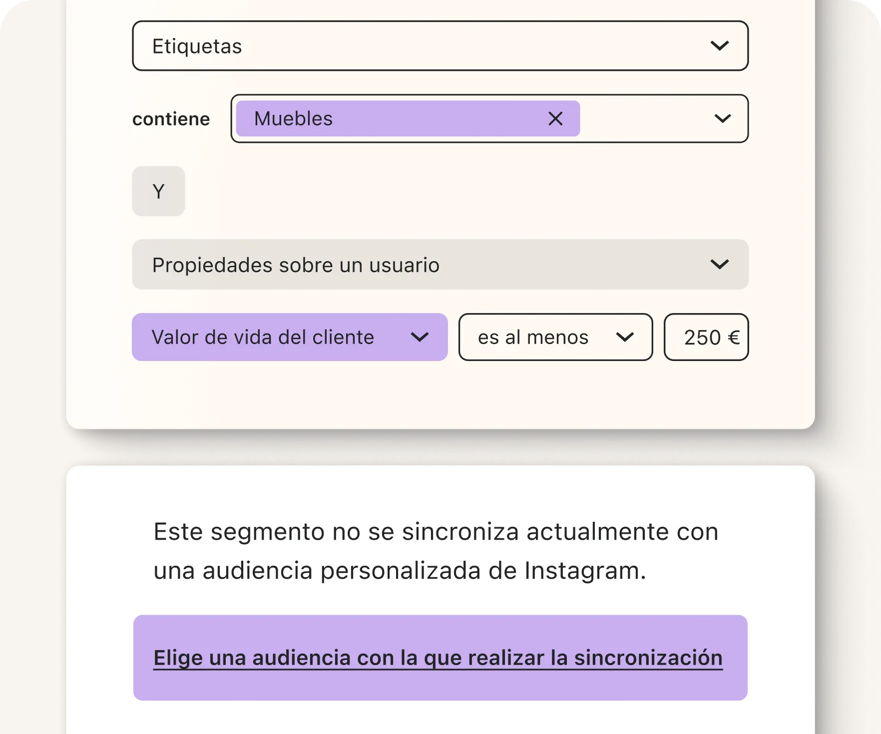 Interfaz de usuario con filtros de etiquetas y propiedades de usuario. Mensaje sobre sincronización con audiencia de Instagram.