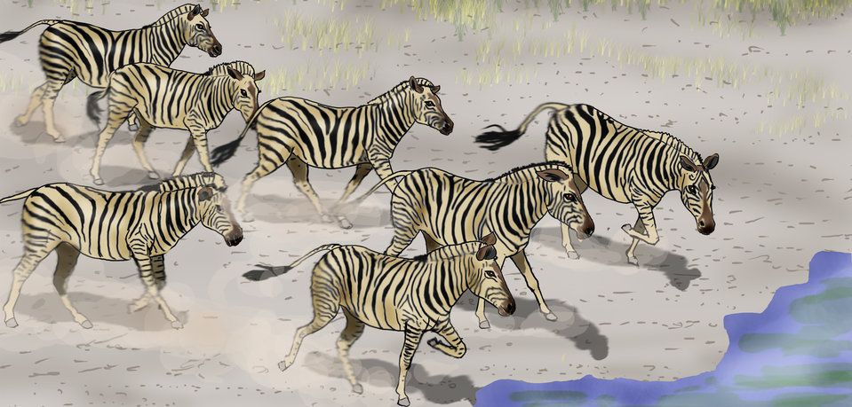 Tiere zählen