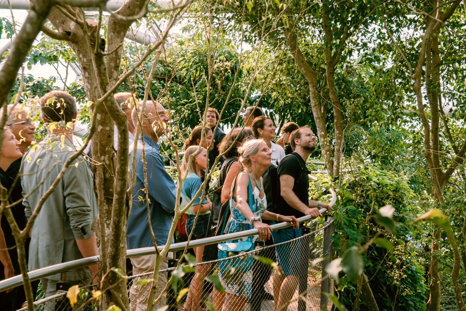 Guided tour through the Masoala Hall rainforest.