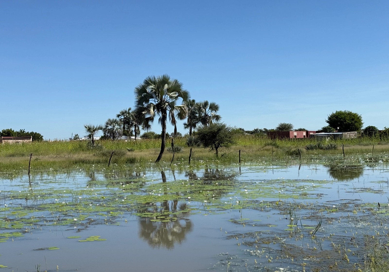Visiting the Oniipa project site during the rainy season in April 2025.