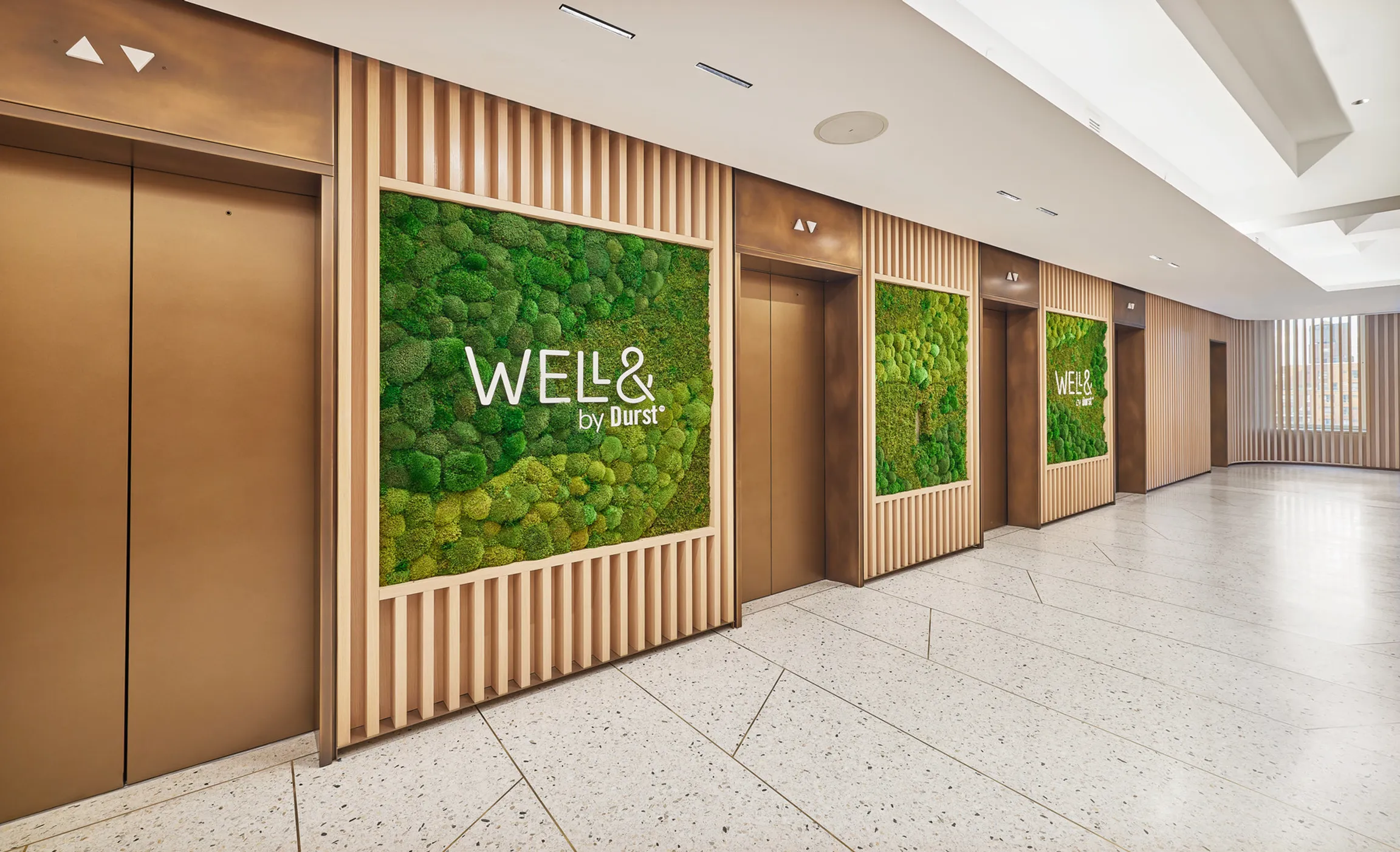 825 Third Ave hallway on the 12th floor for Well& by Durst. There are framed sections embedded into the wall filled with greenery with the Well& by Durst logo placed over them.