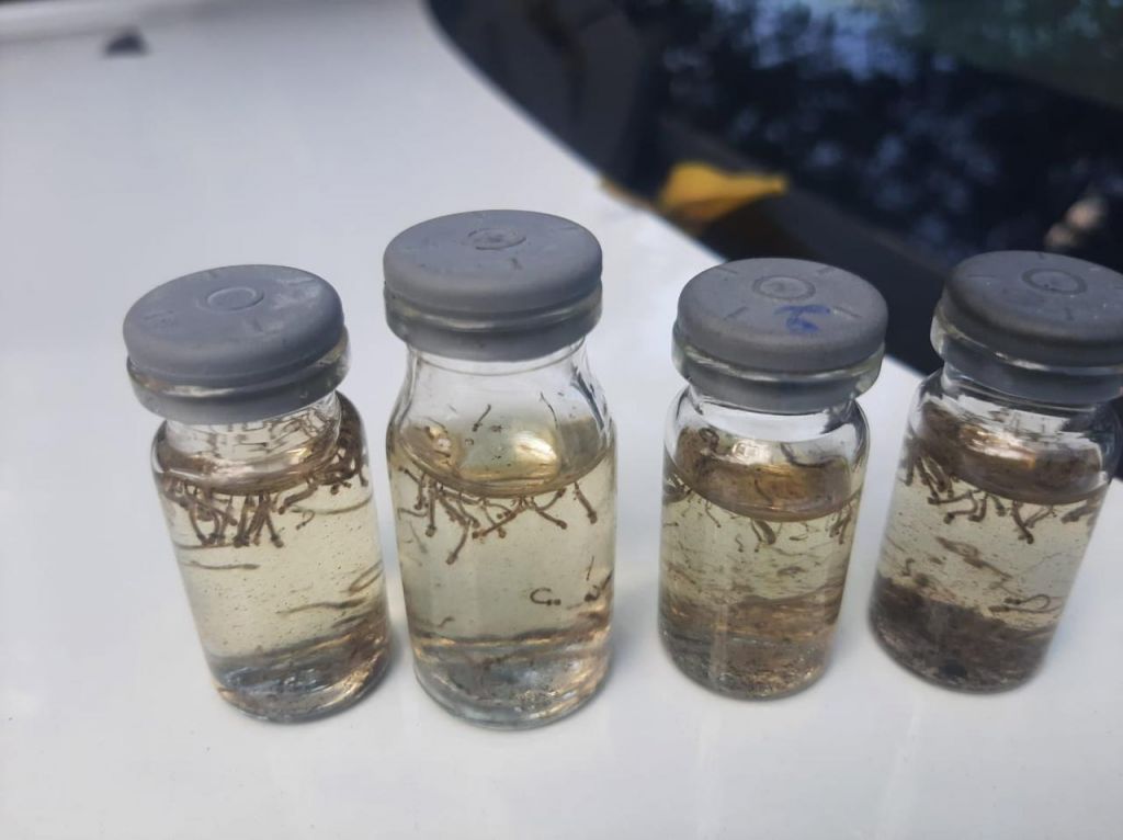 Agentes inspecionam imóveis em Araçatuba para controle do Aedes aegypti.
