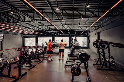 STRONG MUSCLE GYM - Academia de Musculação no Barigui e Centro de Treinamento Oficial Hammer