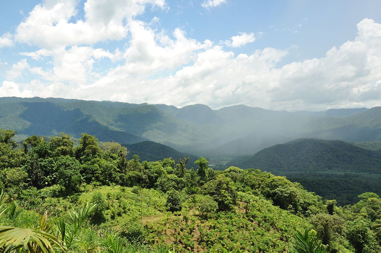 Desmatamento na Mata Atlântica: 2,4 milhões de hectares perdidos