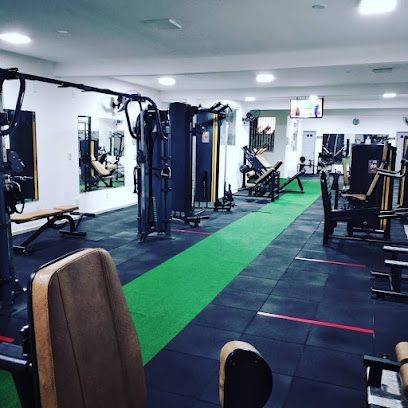 CF4 Academia