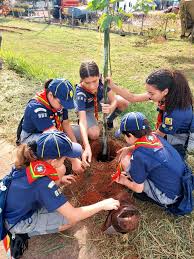 Plantio de mudas no Bairro Sylvio José Venturolli, Araçatuba, Semana da Árvore.