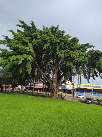 Agropaulo Agroindustrial S/A