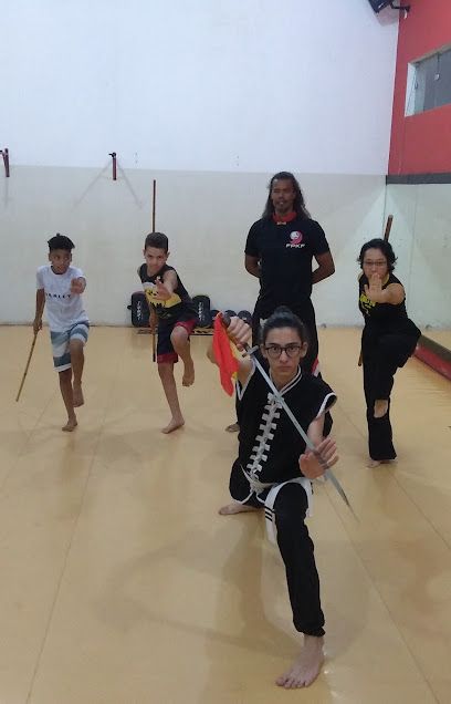Imagem de Academia Luo Han de Kung Fu - Punhos do Sul
