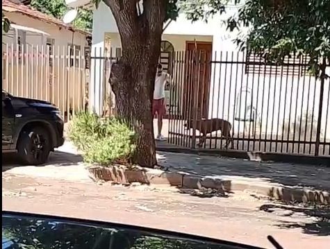 Secretaria de Andradina Investiga Maus-Tratos a Cão e Encaminha para Avaliação Veterinária