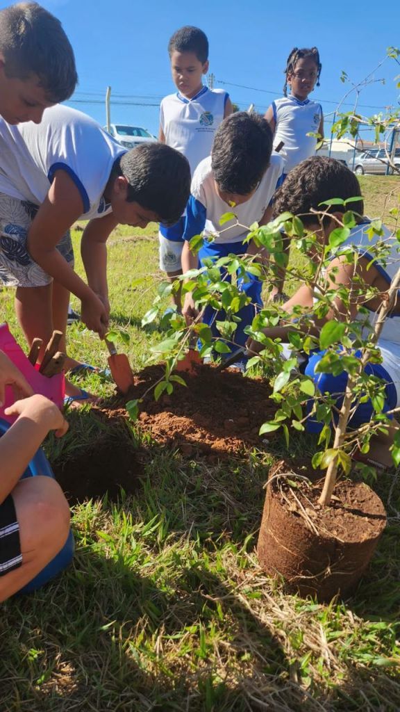 Semana da Árvore em Araçatuba destaca plantios urbanos