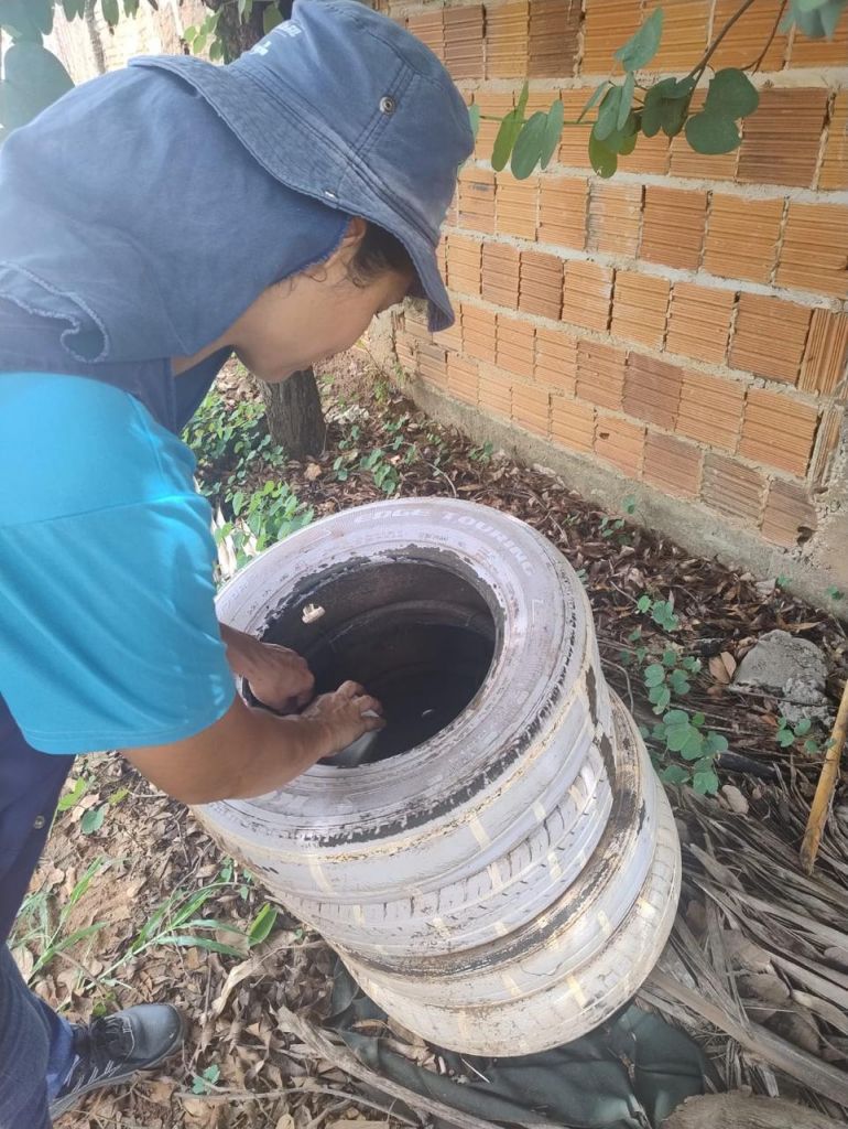 Agentes inspecionam criadouros de Aedes aegypti em Araçatuba, julho 2023.