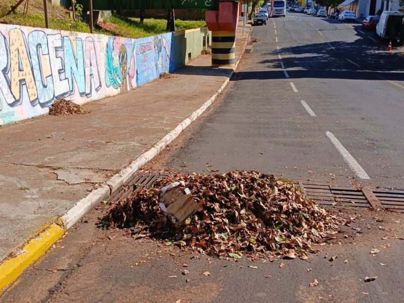 Prefeitura de Dracena realiza limpeza de bocas de lobo