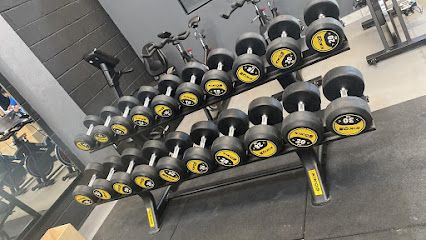 ArmyFit Academia