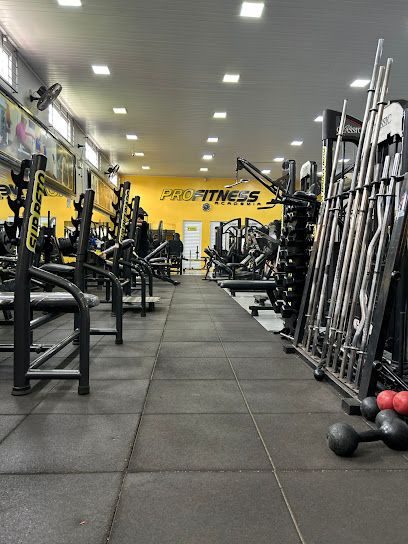 Profitness Academia
