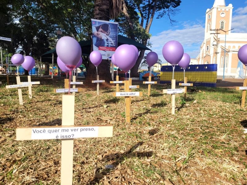 "Agosto Lilás: Castilho Alerta Sobre Violência Contra a Mulher"