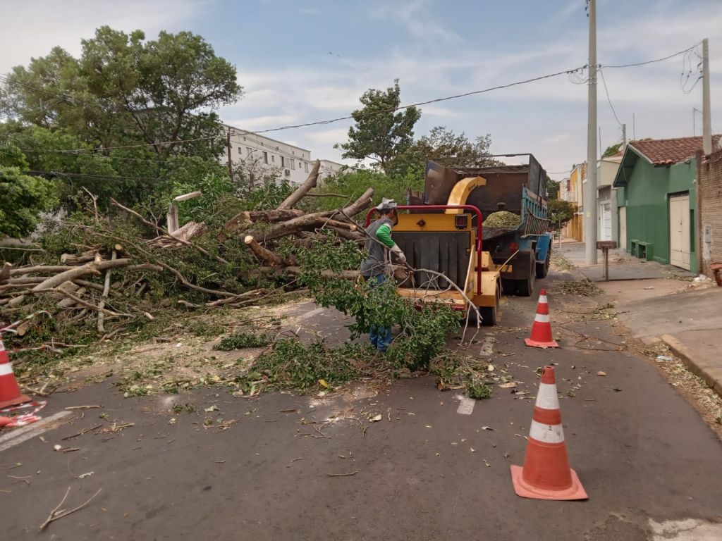 Árvore caída bloqueando via após vendaval em Araçatuba.