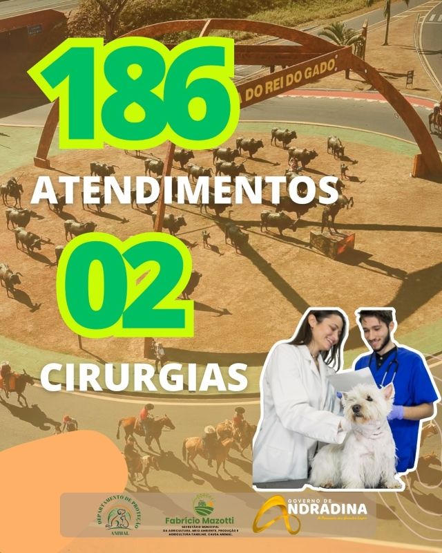Atividades do Bem-Estar Animal em Junho: Balanço Completo