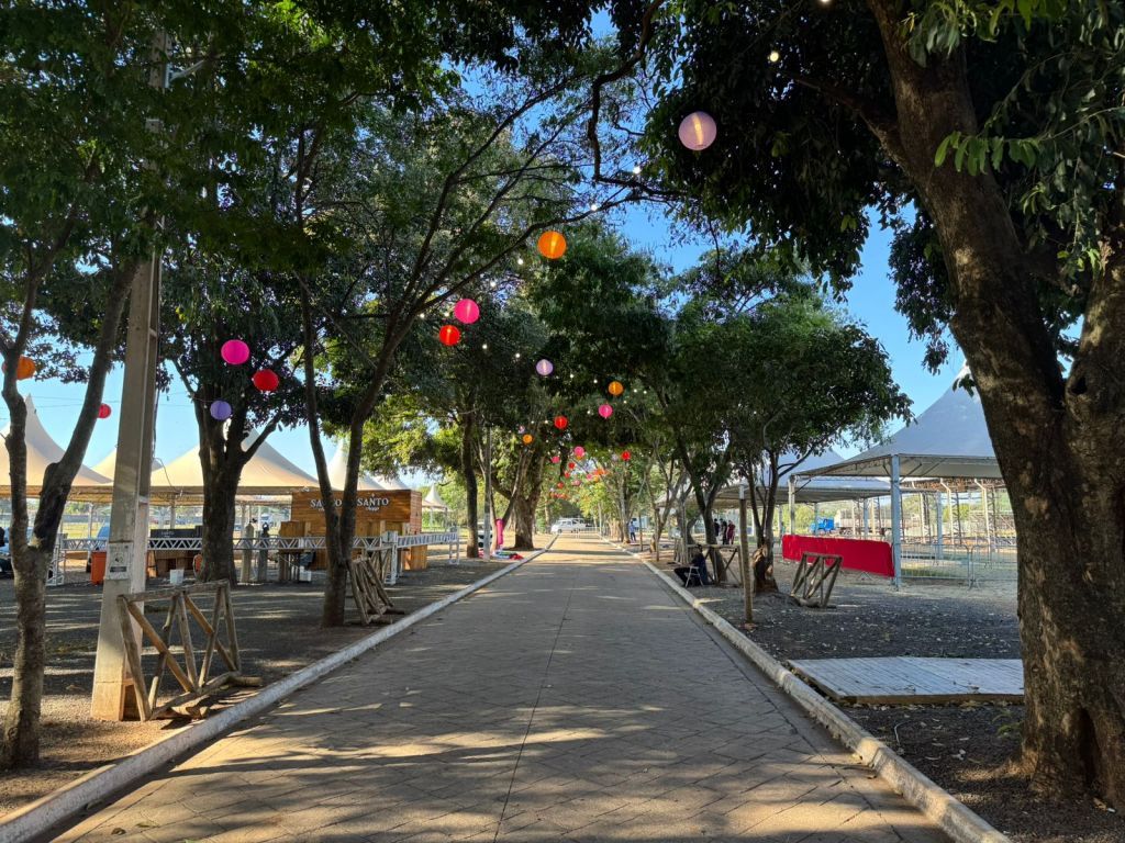 Barracas de comida típica na Festa das Ações em Araçatuba, cultura e solidariedade.