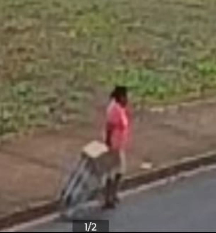 Homem é filmado abandonando filhotes de gato em Andradina; animais são resgatados pelas autoridades