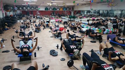 Vip Fitness Setubal
