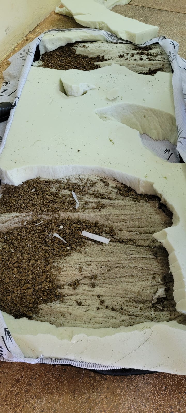 Colchão recheado com 1kg de maconha: Advogada é presa em flagrante em presídio de Três Lagoas