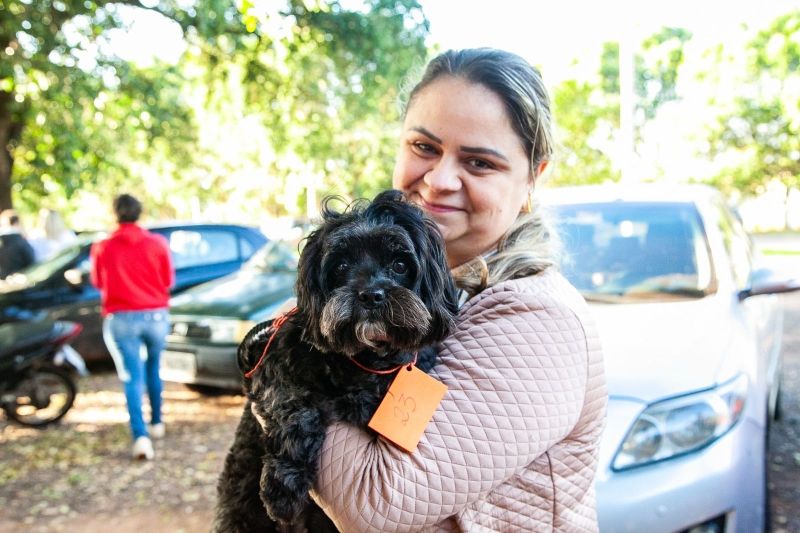 Após a cirurgia, animais recebem microchip que armazena informações como histórico de vacinação e endereço do responsável, facilitando identificação
