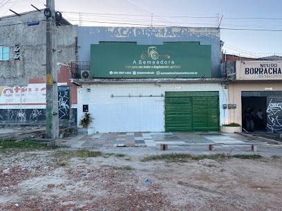 A SEMEADORA