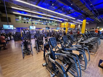 Academia Smart Fit - Holandeses