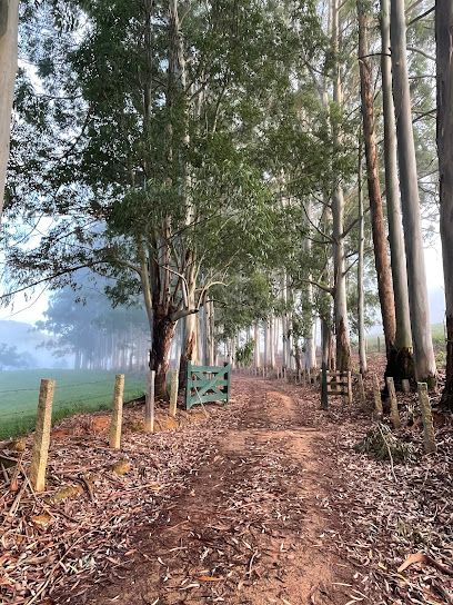 Fazenda São José - Joaquim Egídio