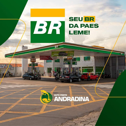 Auto Posto Andradina Logo