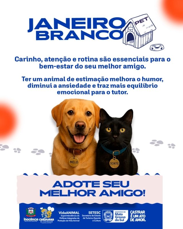 Janeiro Branco: Como os pets podem impulsionar a saúde mental e promover a adoção responsável