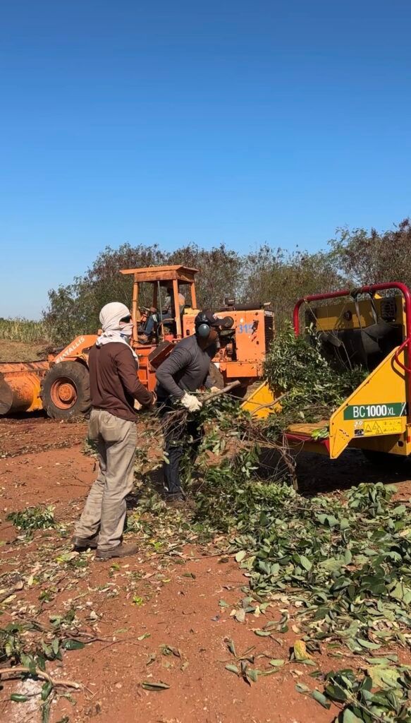 Área de Transbordo e Triagem de Pereira Barreto otimiza descarte de resíduos
