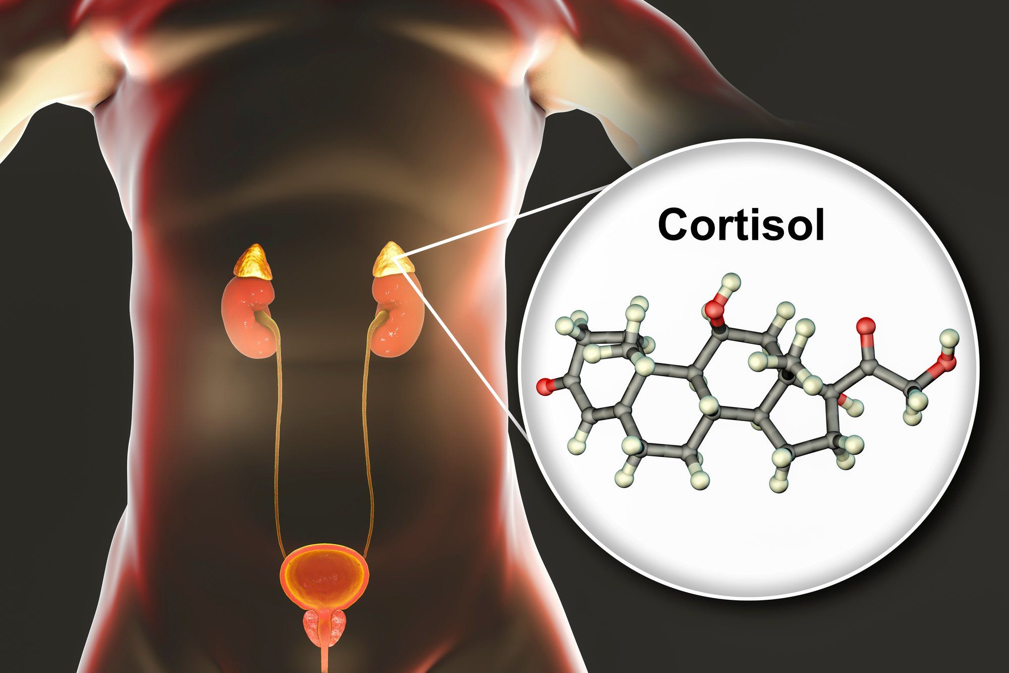 Estratégias Naturais para Reduzir o Cortisol e o Estresse
