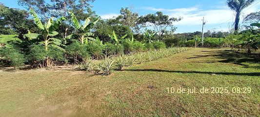 Colônia Silão