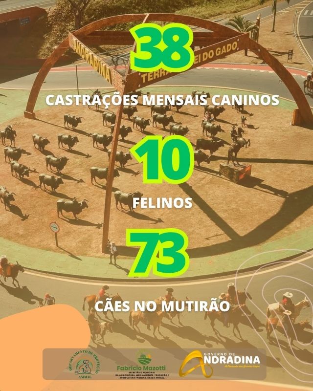 Relatório de bem-estar animal, junho: 186 atendimentos, 38 castrações caninas.