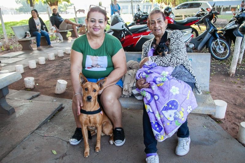 Interessados podem agendar castração presencialmente ou por WhatsApp. Microchip garante registro de vacinas e dados do tutor para maior segurança