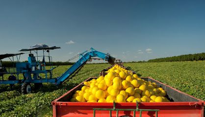 Itaueira Agropecuária
