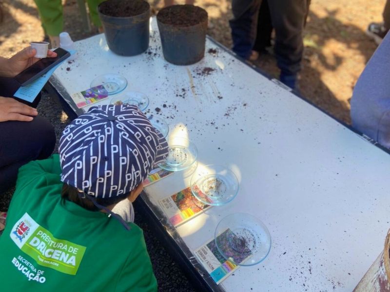 Alunos plantando mudas no Viveiro Municipal durante a Semana da Árvore.